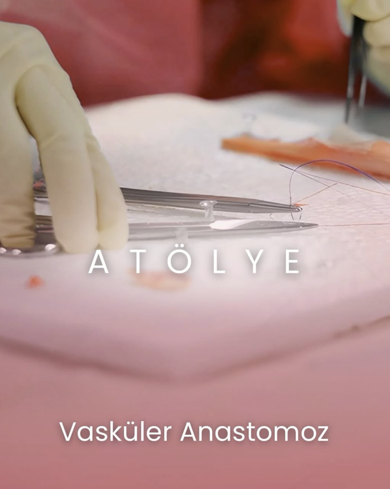 VASKÜLER ANASTOMOZ ATÖLYESİ